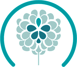 Icono vulvoplastia